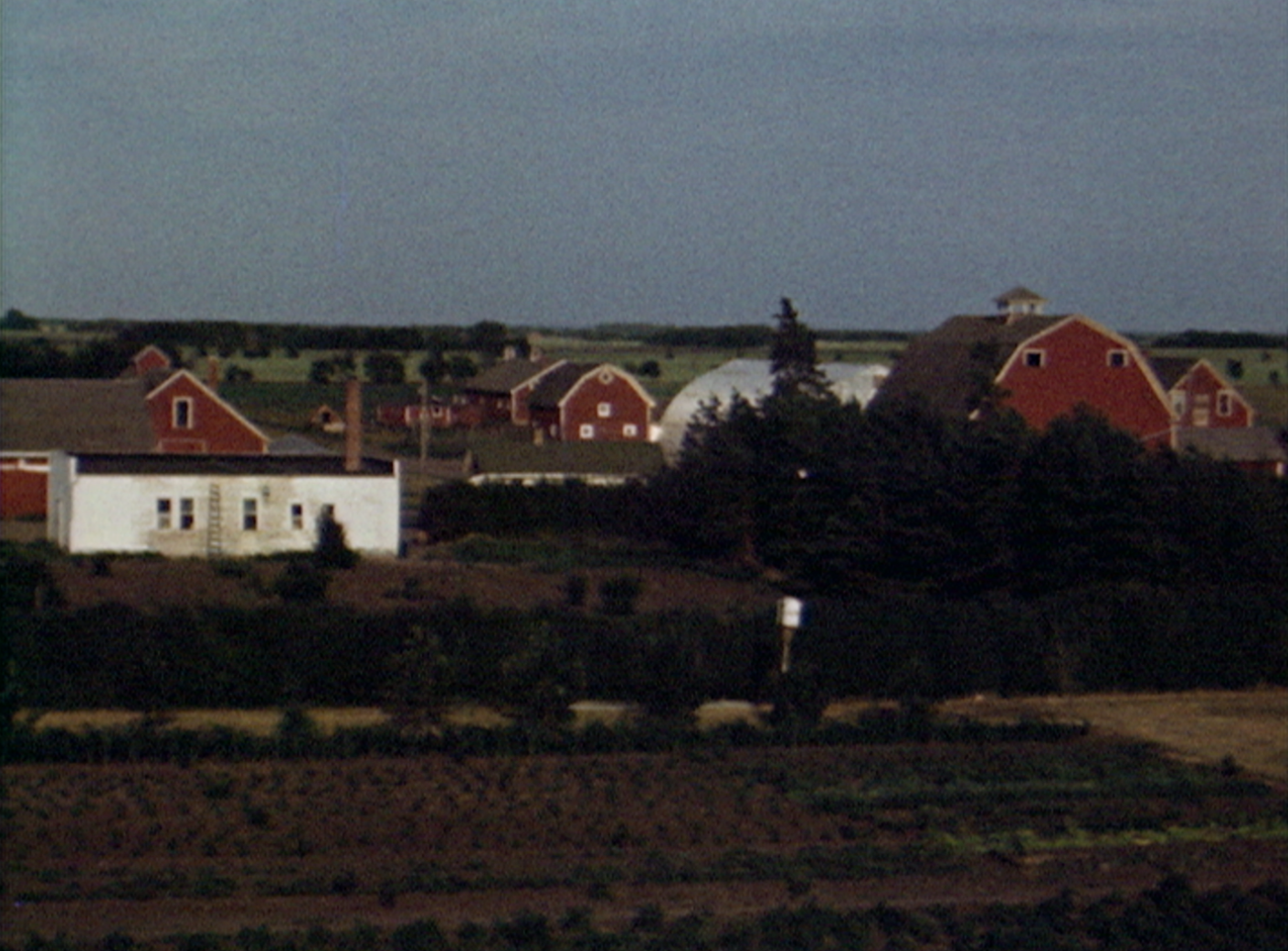 Youth Farm Bible Camp Yfbc News