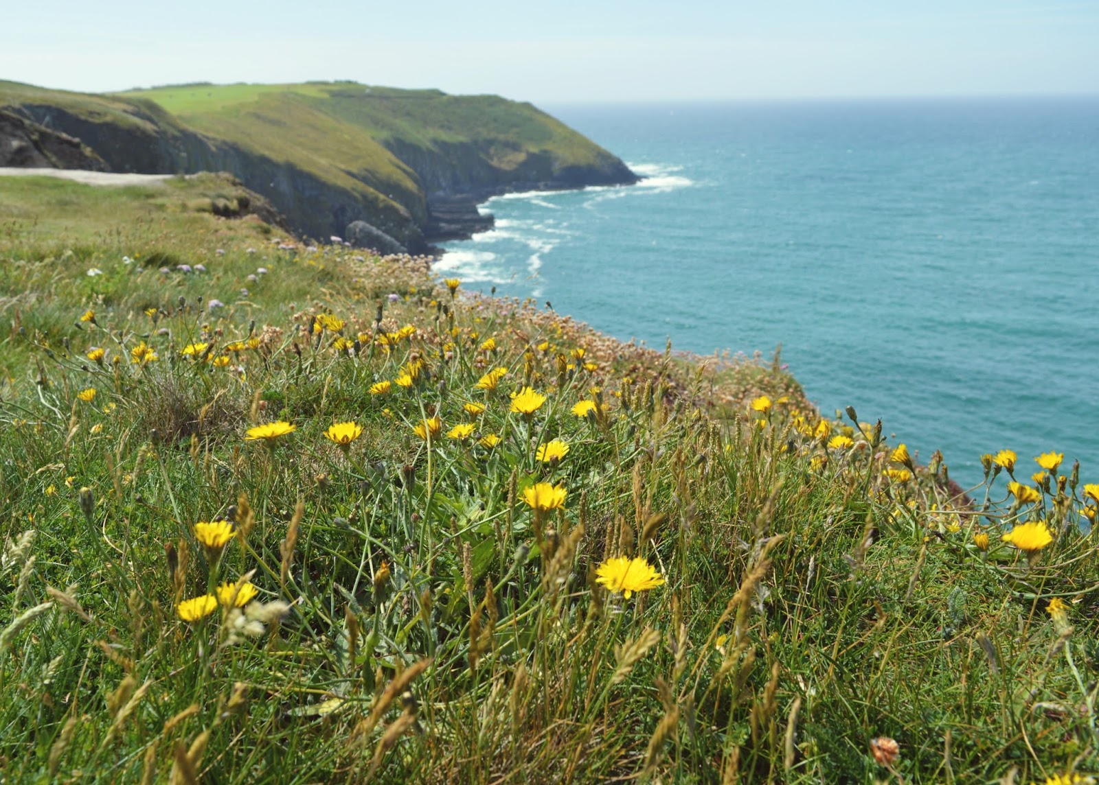 The Old Head Of Kinsale The Wild Atlantic Way ♥ Fawns & Fables