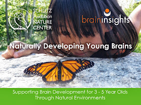 Easy Ideas for Naturally Developing Young Brains right in your pocket!