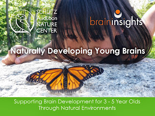 Easy Ideas for Naturally Developing Young Brains right in your pocket!