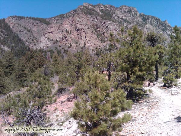 colorado springs single men over 50 Women looking for single men should try their odds in vegas, where the oil boom, and gillette and rock springs are wyoming mining towns. colorado springs single men over 50 Women looking for single men should try their odds in vegas, where the oil boom, and gillette and rock springs are wyoming mining towns.