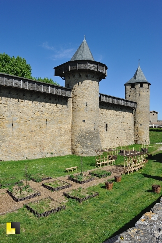 carrés médiévaux du jardin du château comtal de carcassonne les carrés du jardin médiéval du château comtal de la citée de Carcassonne photo pascal blachier