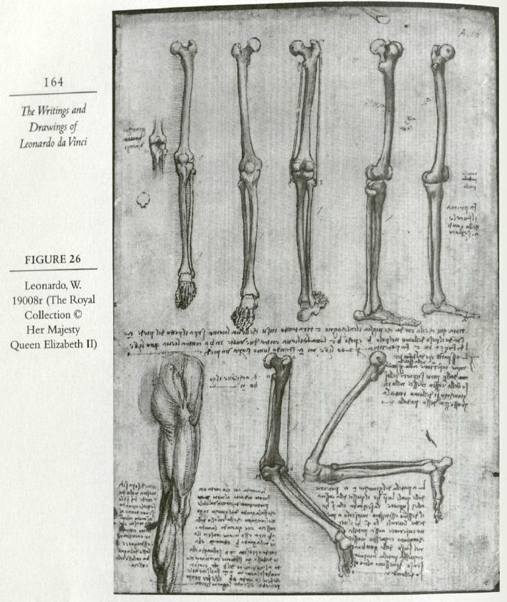 DRAWING AT DUKE: Leonardo da Vinci