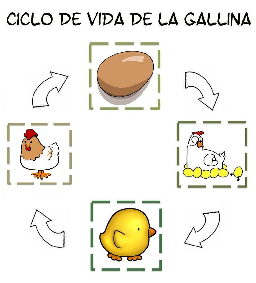 Menta Más Chocolate - RECURSOS y ACTIVIDADES PARA EDUCACIÓN INFANTIL