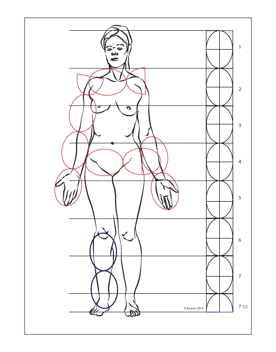 proportions_Female_8.gif