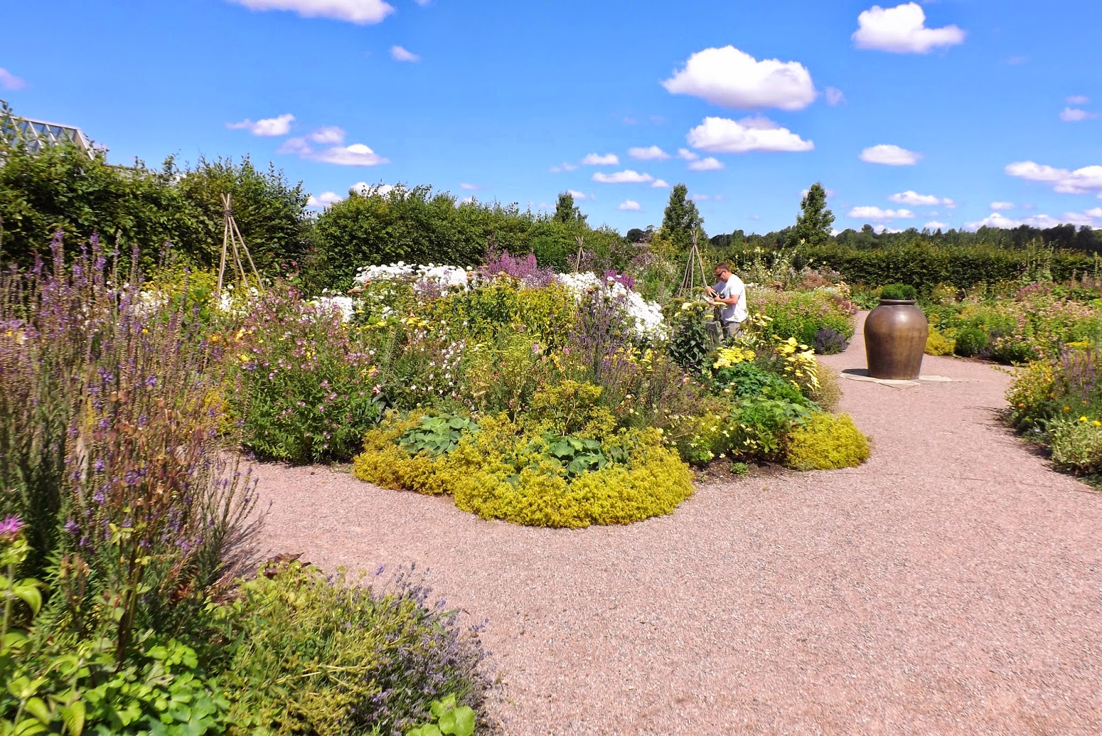 Ramblings from an English Garden Hyde Hall RHS Gardens, Essex