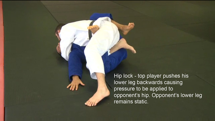DVD Review Legal Leg Locks For Brazilian Jiu Jitsu, Roli Delgado