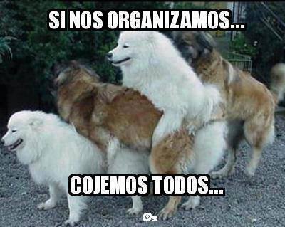 orgia+de+perros.jpg