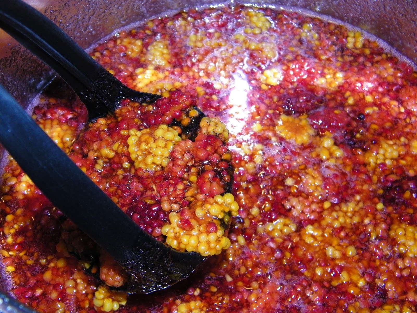 Salmonberry Syrup theapron