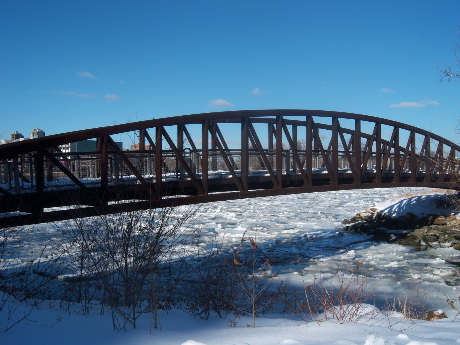 Long Distance Voyager Bridge of the Week 53 Randall's Island Footbridge
