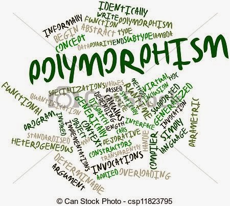 What Is Polymorphism? What Is Polymorphism?