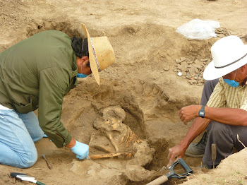 SALVAMENTO ARQUEOLOGICOEN SAN LUCAS.