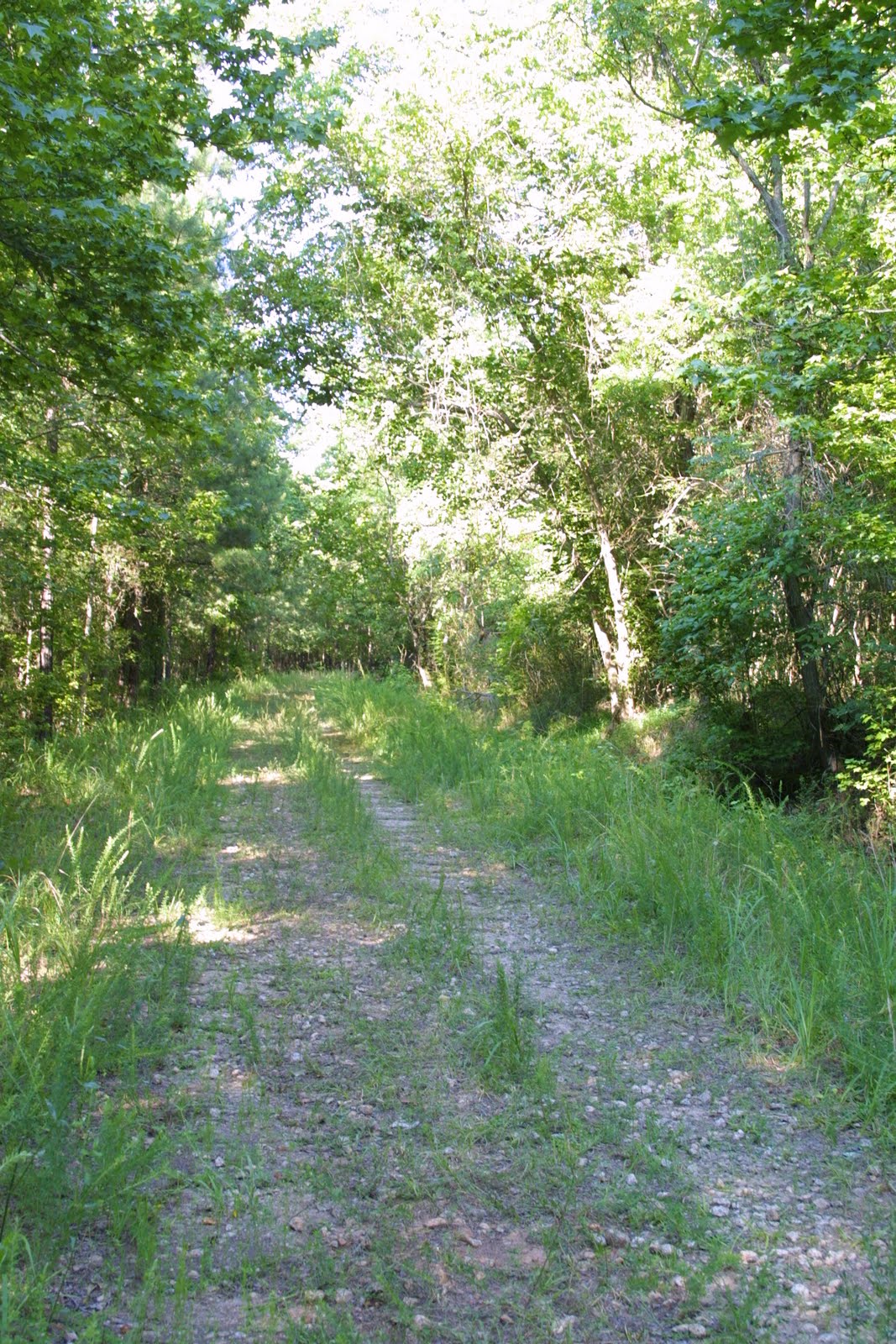 Trail of the Trail McIntosh Trail to Scenic Byway