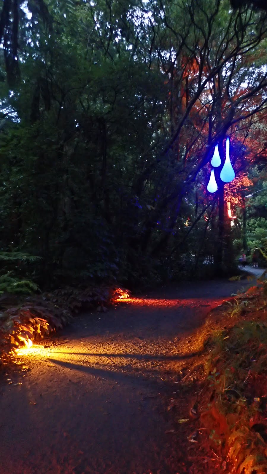 Pukekura Park light show, New Plymouth