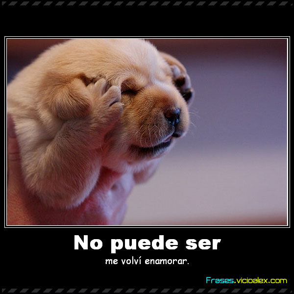 . - Las Mejores Frases para el Facebook de Amor, Frases de Amistad . - Las Mejores Frases para el Facebook de Amor, Frases de Amistad
