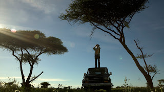 hunters are finding cheetah