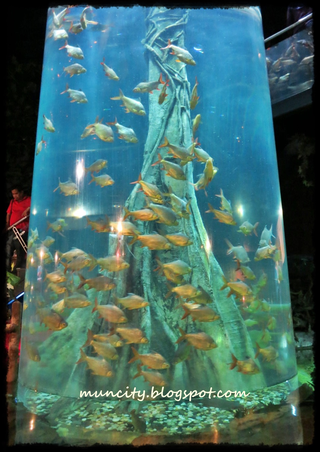 Lalalaland... Aquaria KLCC