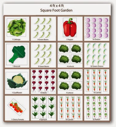 Basics of Square Foot Gardening - HOMEGROWN