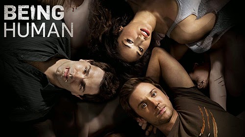 Bifilm 2014
