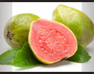 Jambu Biji