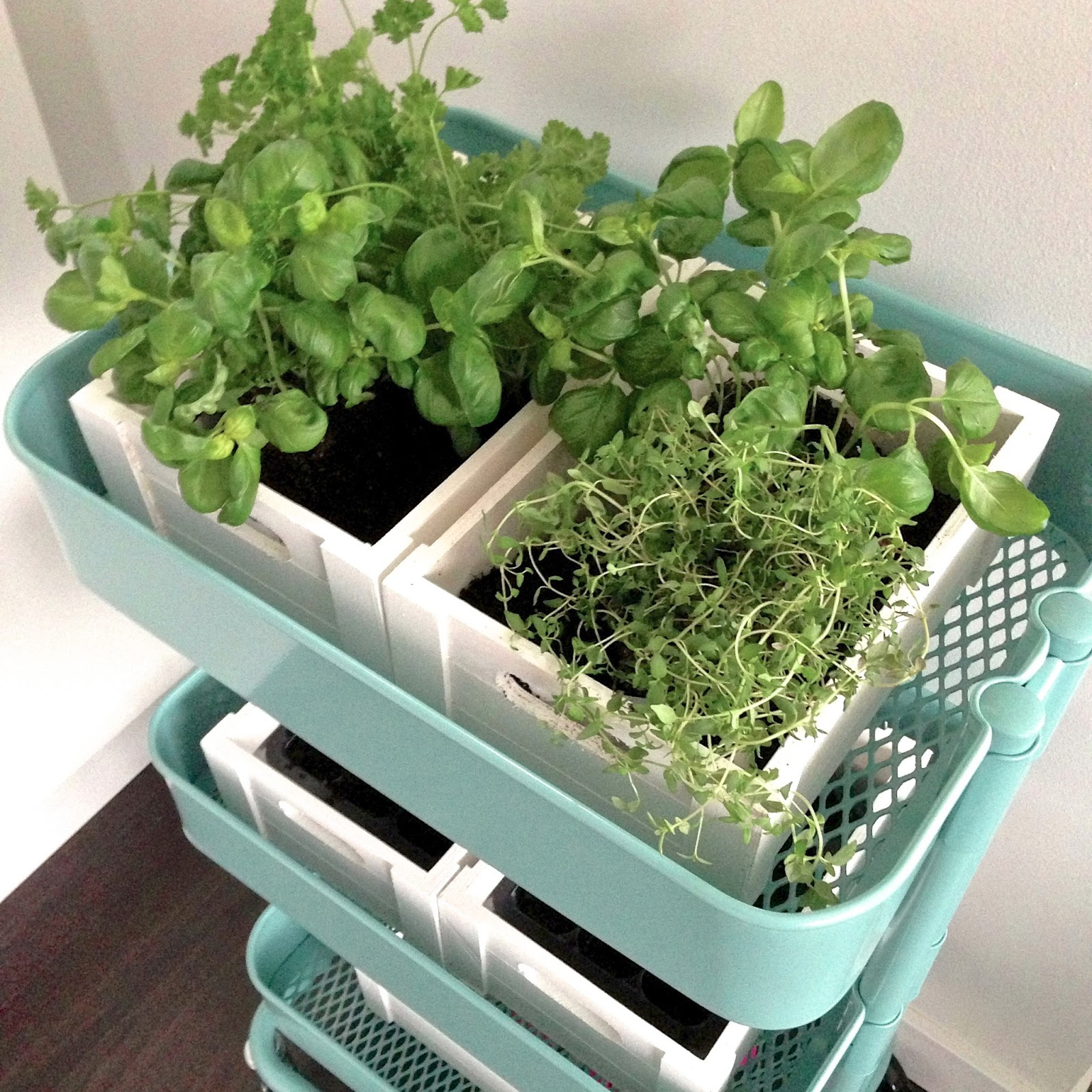 Pinterest Challenge Bar Cart Herb Garden
