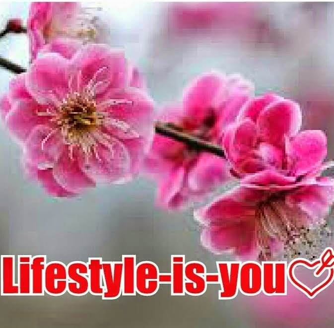 Logo van Lifestyle-is-You♥