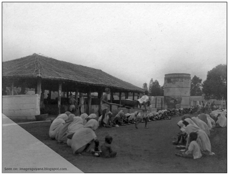 ImagesGuyana The East Indians in British Guiana