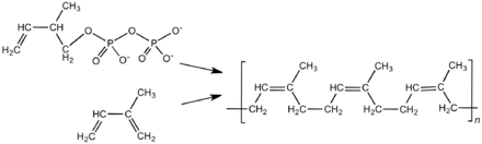 Latex Rubber Chemical Properties Latex Rubber Chemical Properties