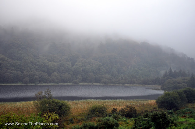 Wild Wicklow Tour in Dublin