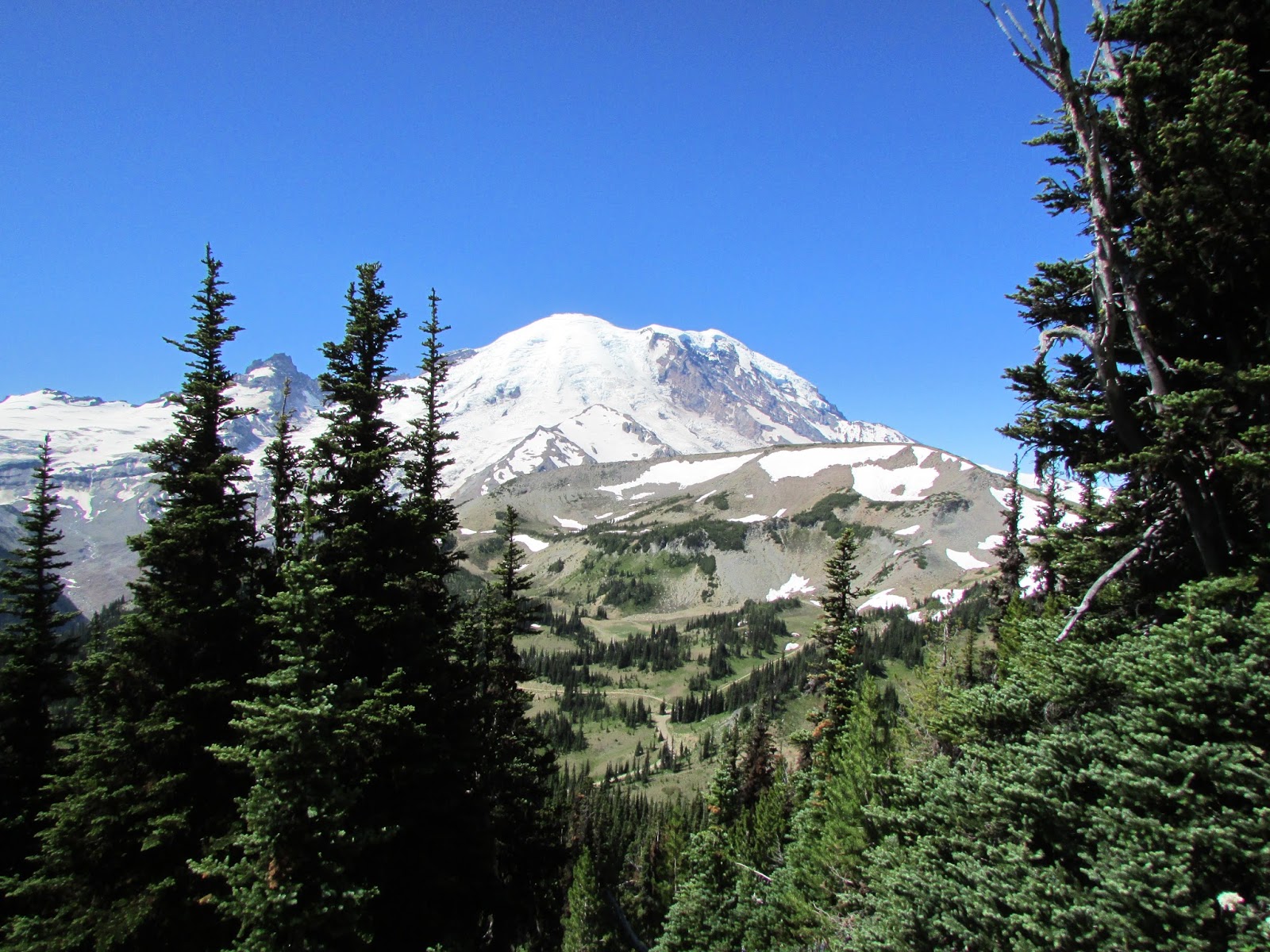 Elsewhere Second trip to Mount Rainier National Park (Sunrise) July 2013