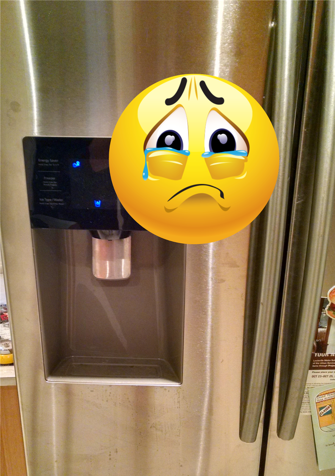 Hog Wild Home Make Stainless Steel Appliances Shine