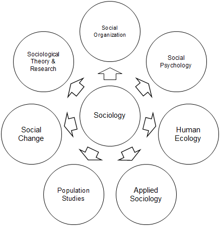 sociology and other sciences