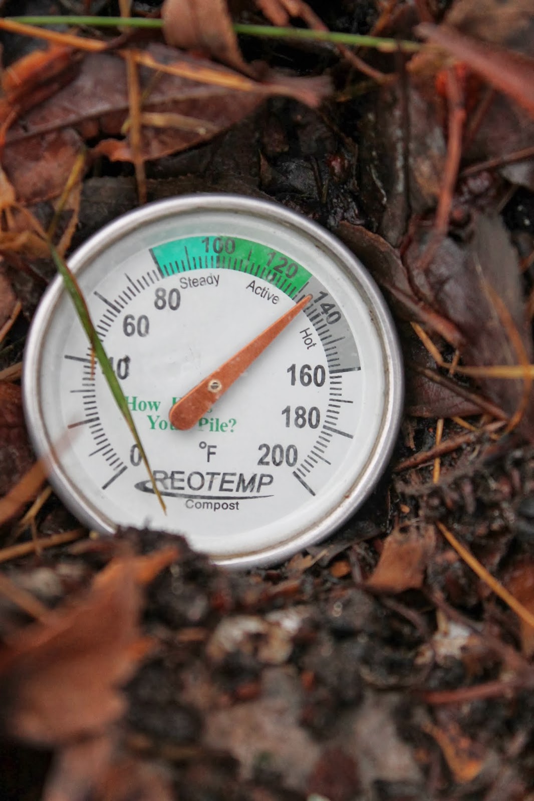 How To Make A Chicken Coop Smell Better making a chicken coop