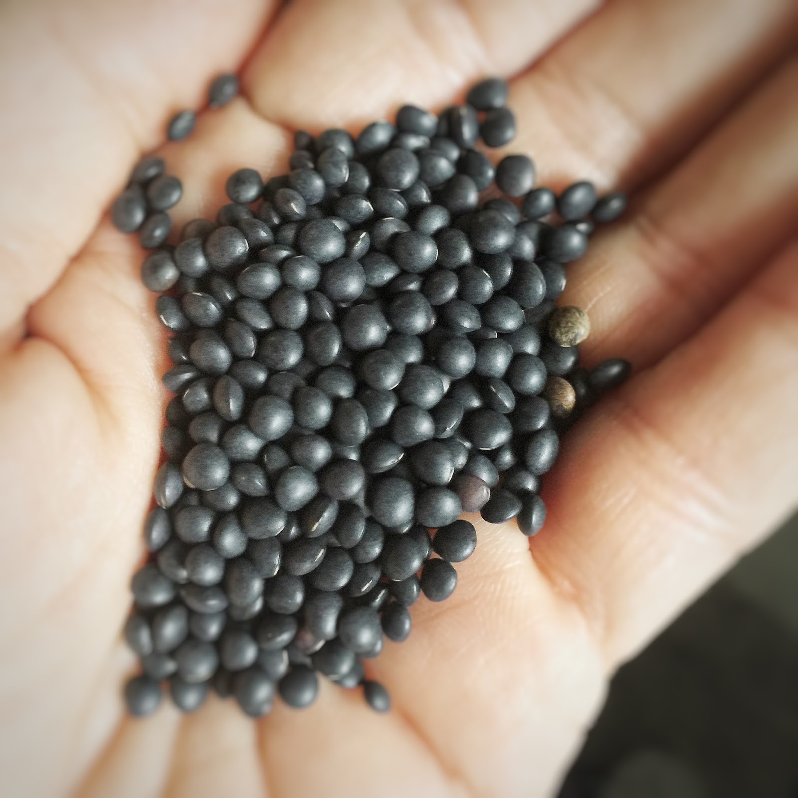 The Yum Yum Factor Easy Chicken and Beluga Lentils in the Pressure Cooker