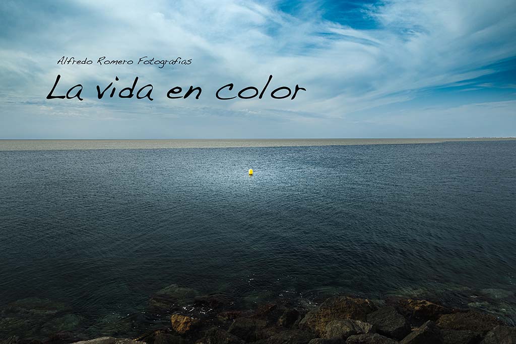 La vida en color