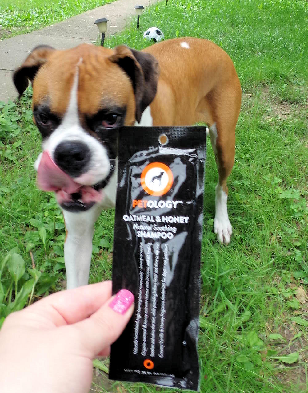 Dog Madness Petology Shampoos Combines Nature And Technology To