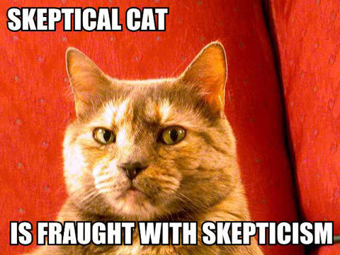 skeptical-cat.jpeg