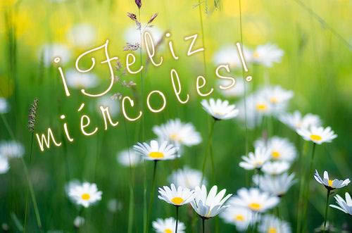 Imágenes con Frases para dar las Buenas Noches, Feliz