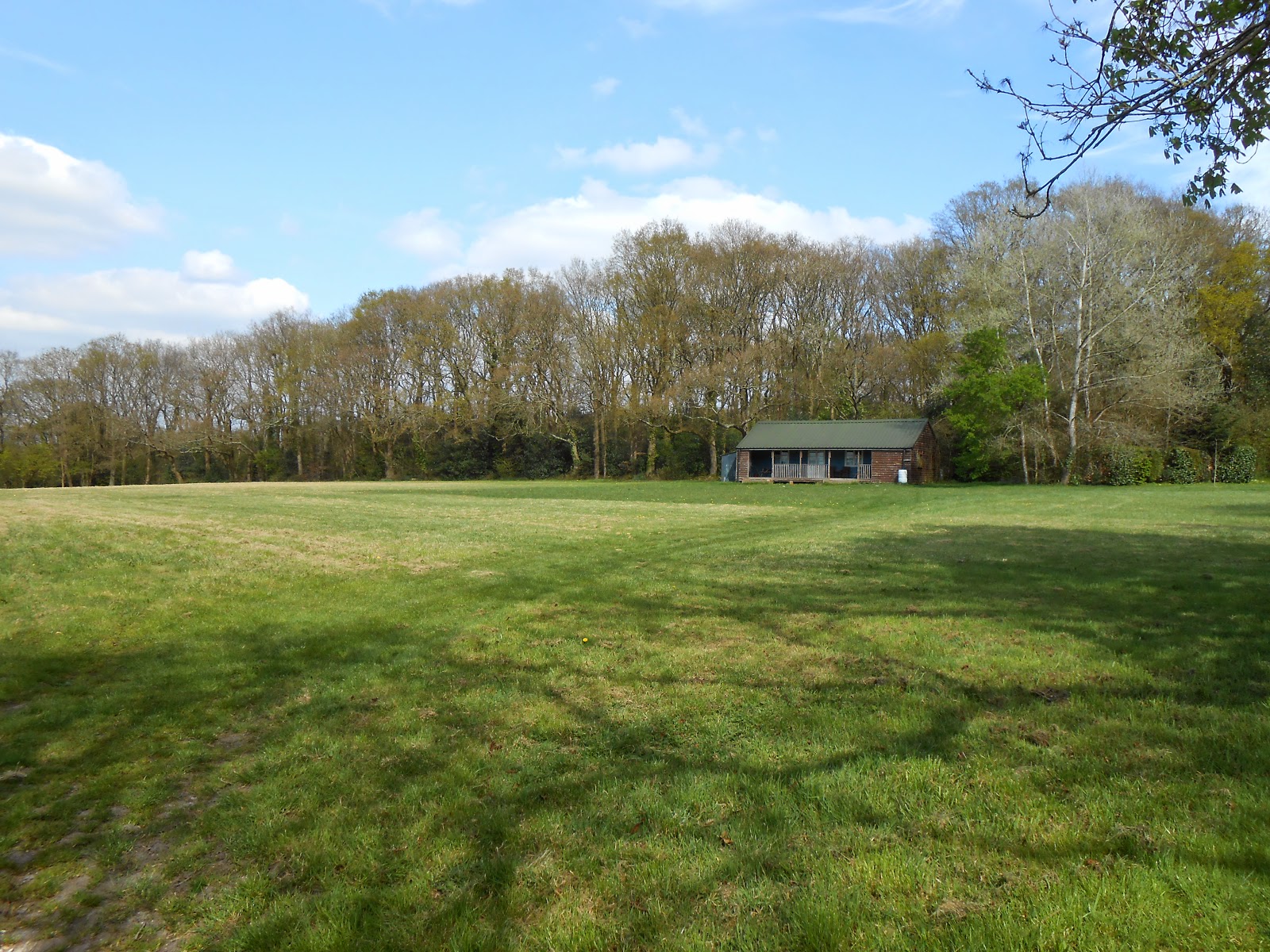 scouts campsite near forest of bere wickham hampshire