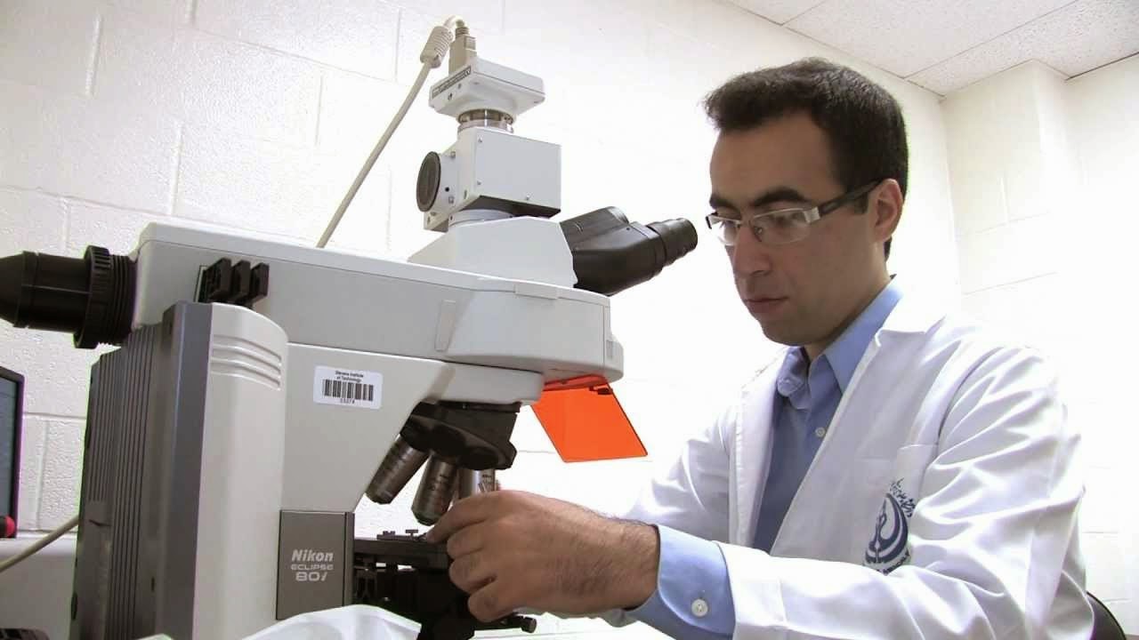 Pathology Videos Creating skin grafts for burn victims