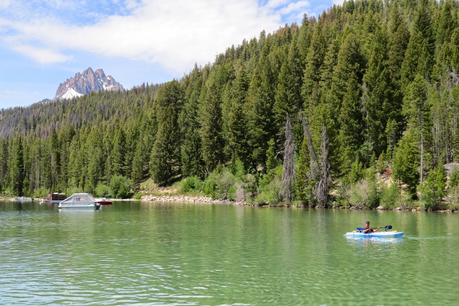Aunie Sauce Redfish Lake