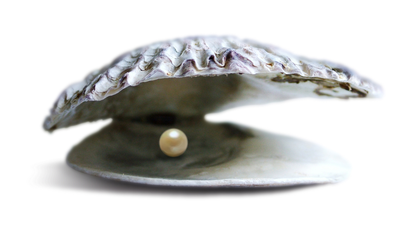 Valued as a gemstone and an object of beauty, pearl has become a metaphor