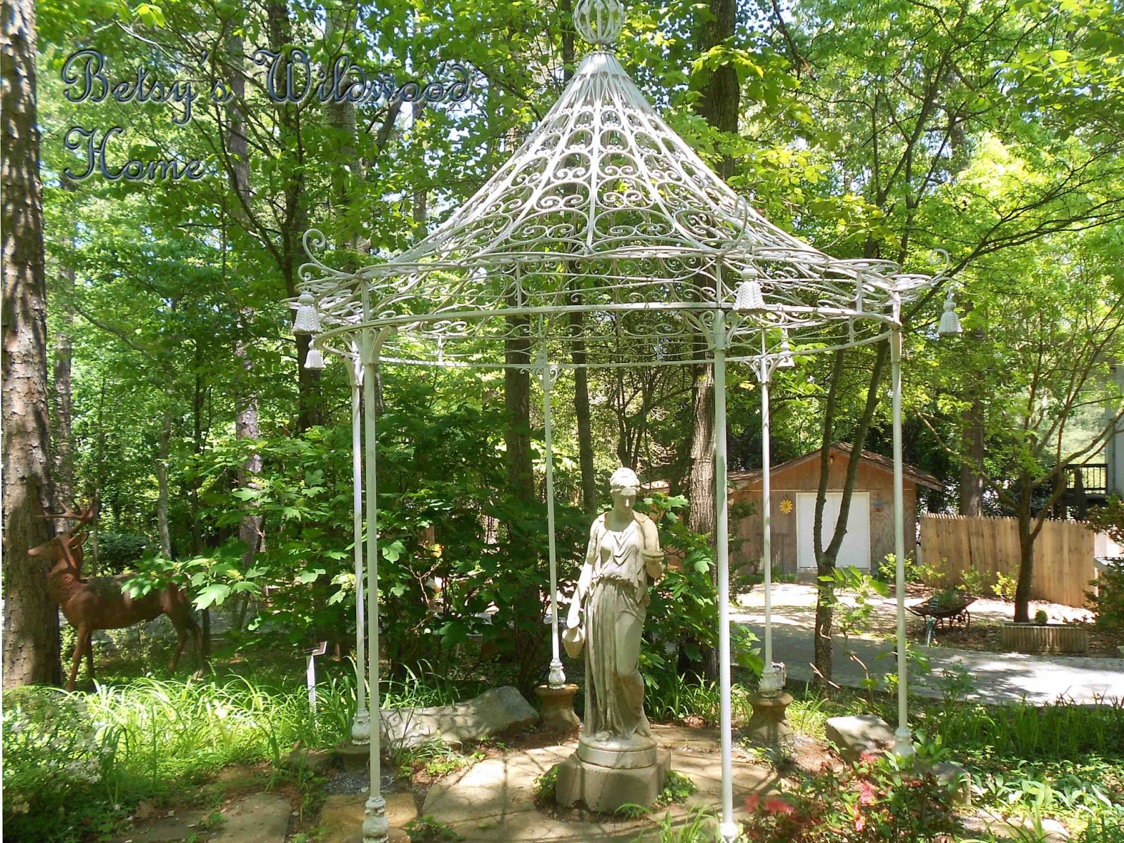 Betsy's Wildwood Home: Gardens in Chase (pt. one)