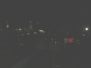 Curtis Hixon Park Family Night