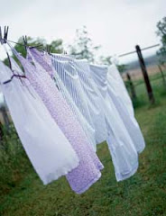 Are Clothes Lines Making a Comeback?