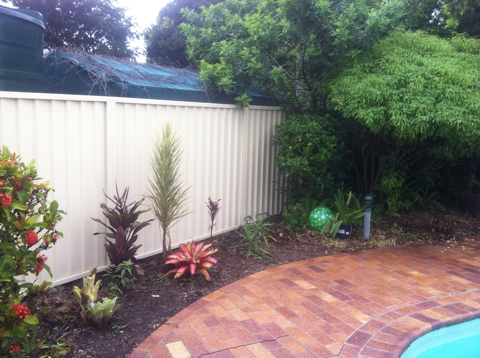 Collinson Fencing Colorbond Garden Fencing Birkdale Queensland