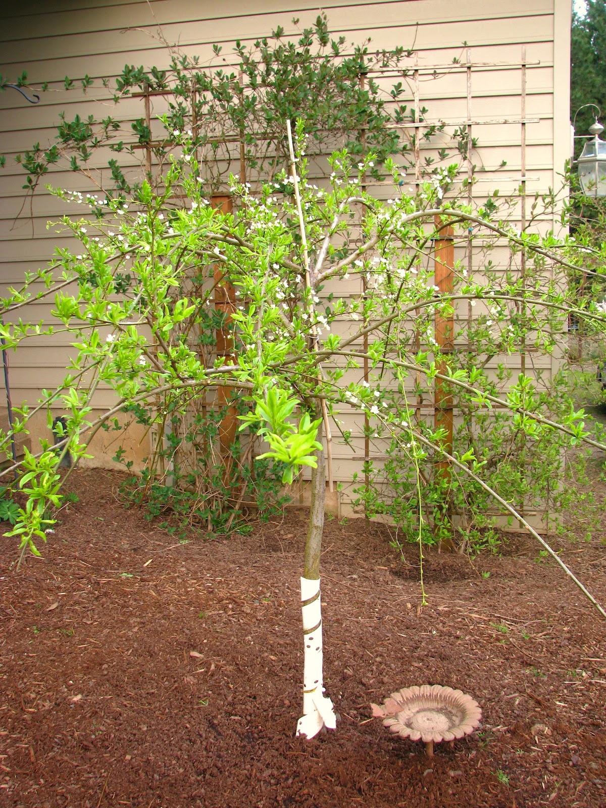 The Nile'S Flood: A Divine Weeping Woman'S Legacy - 60j2wwy