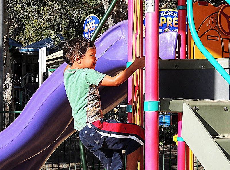 NAMC montessori environment supports children with Sensory Issues boy climbing playground