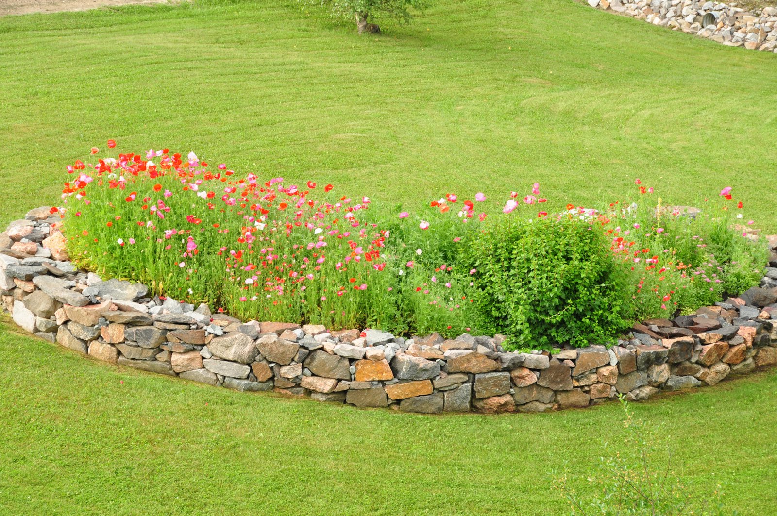 Northern Exposure Gardening: Raised Bed Renovation
