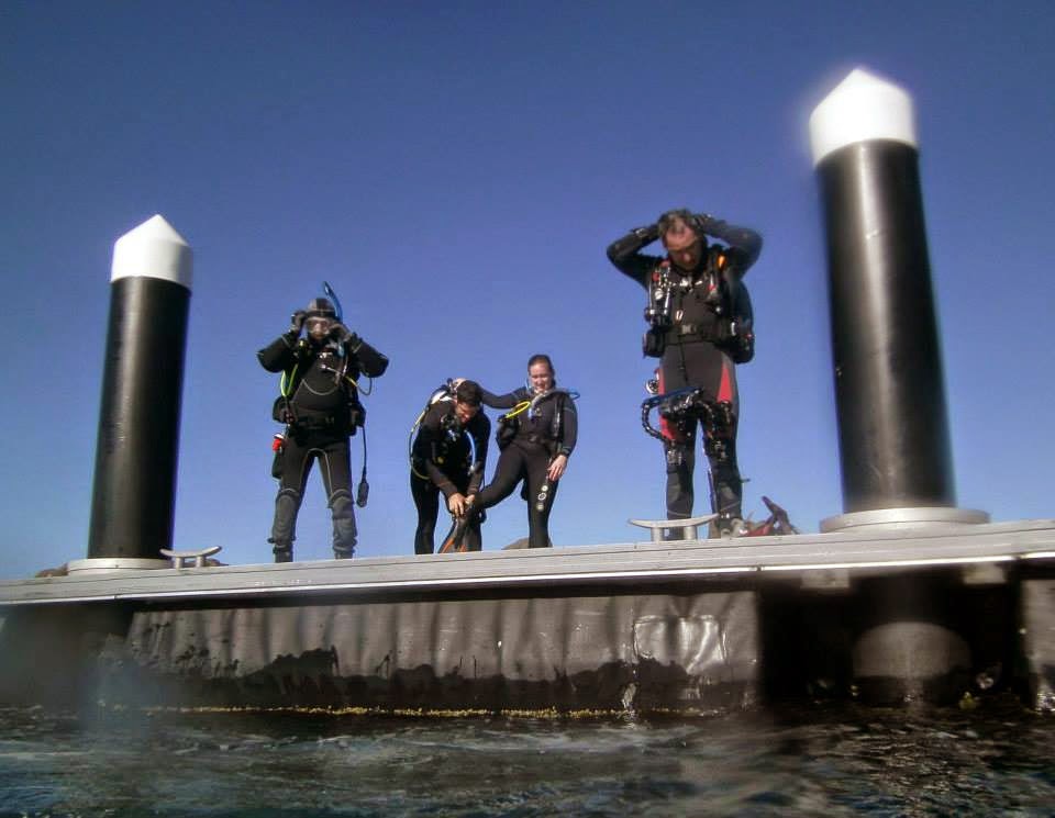 2 Aussie Renegades Swansea bridge dive